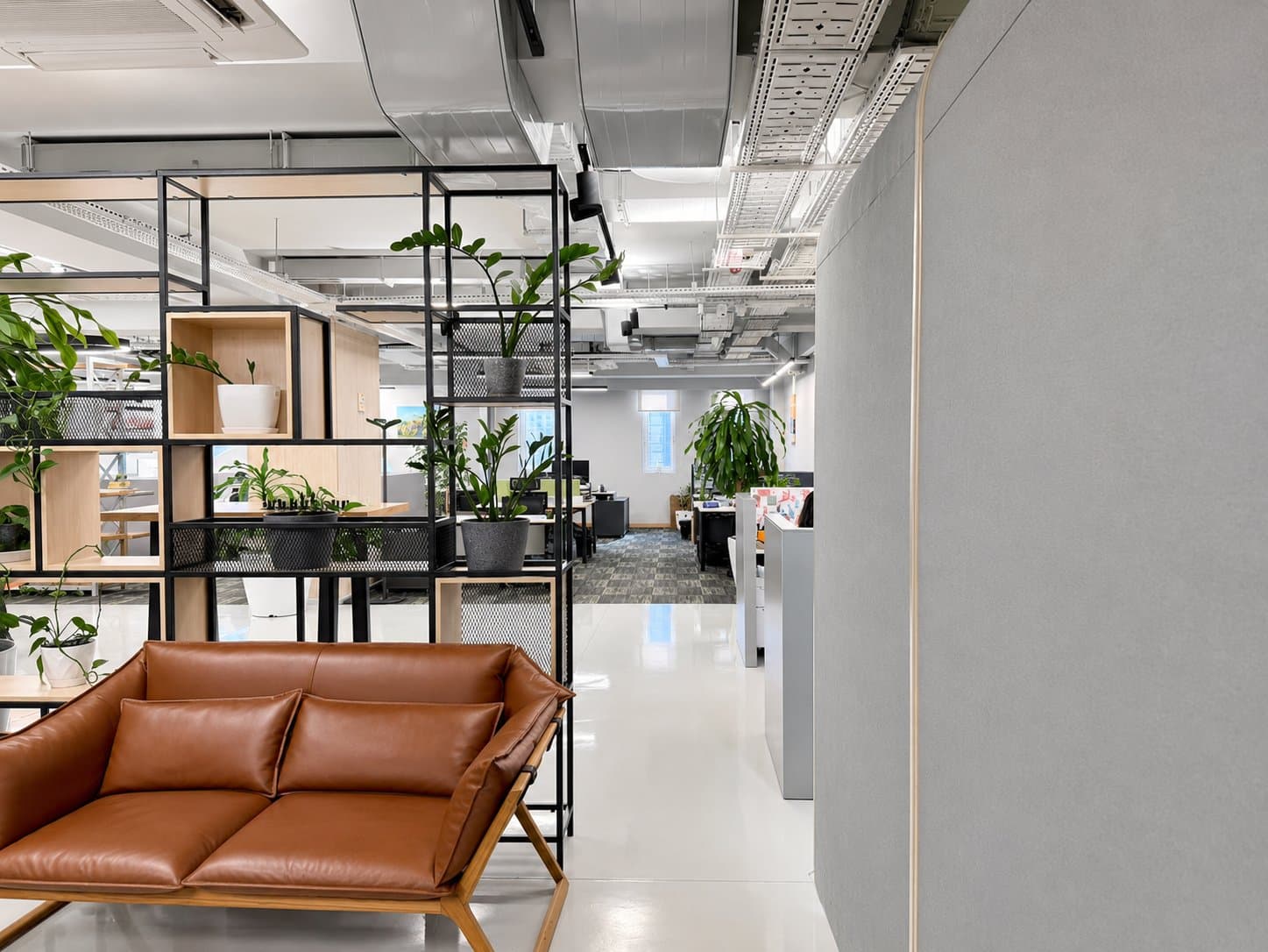 Leather sofa beside shelves of plants
